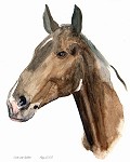 Teresa's horse Pammi